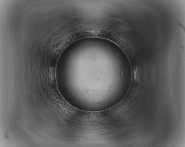 X0000102461347200808081218