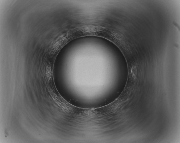 X0000102461348200808081218