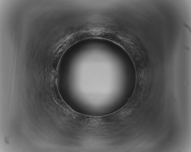 X0000102461349200808081218