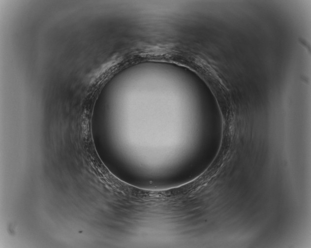 X0000102461350200808081218