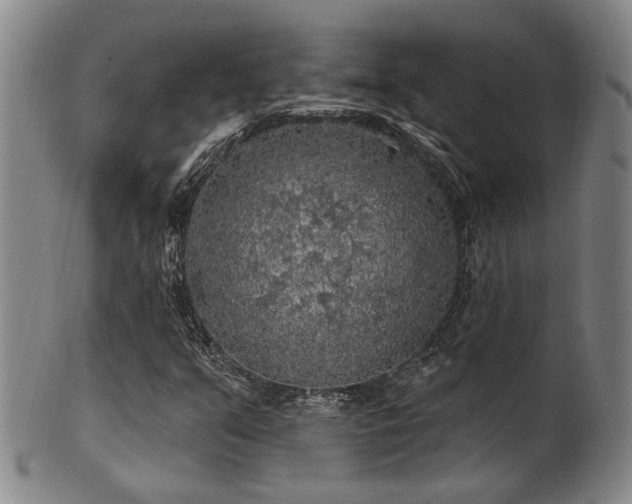 X0000102461351200808081218