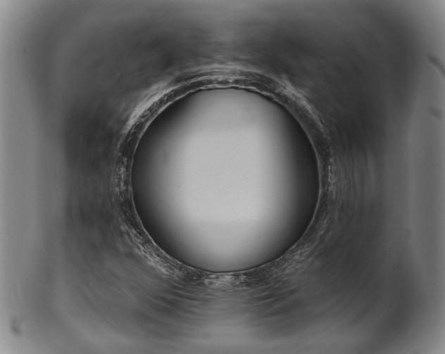 X0000102461352200808081218