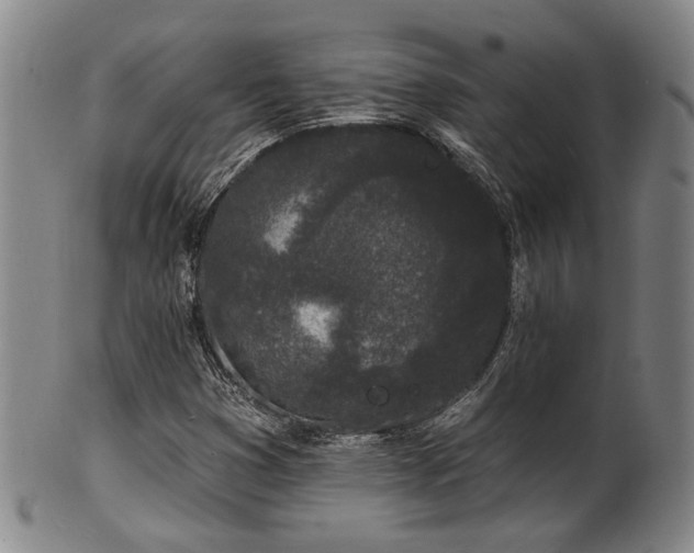 X0000102461353200808081218