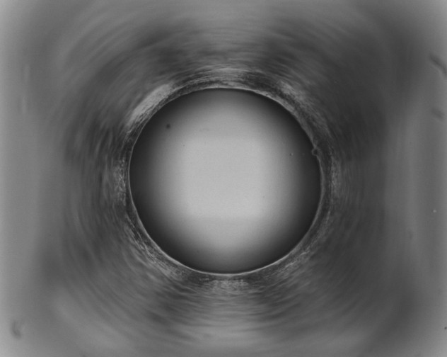 X0000102461354200808081218