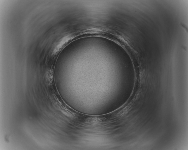 X0000102461355200808081218