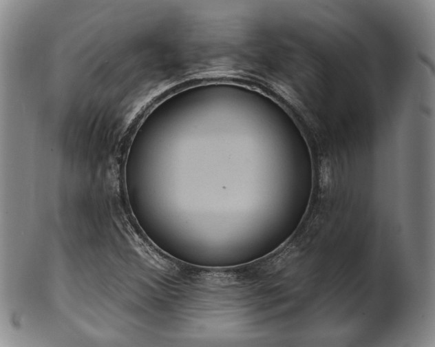 X0000102461356200808081218