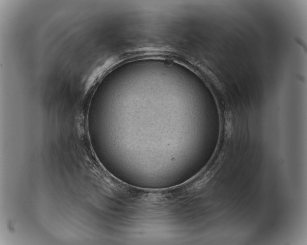 X0000102461357200808081218