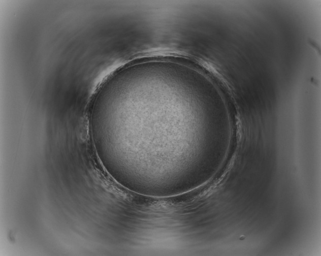 X0000102461358200808081218