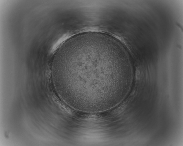 X0000102461359200808081218
