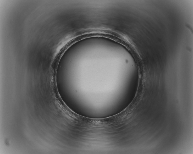 X0000102461360200808081218
