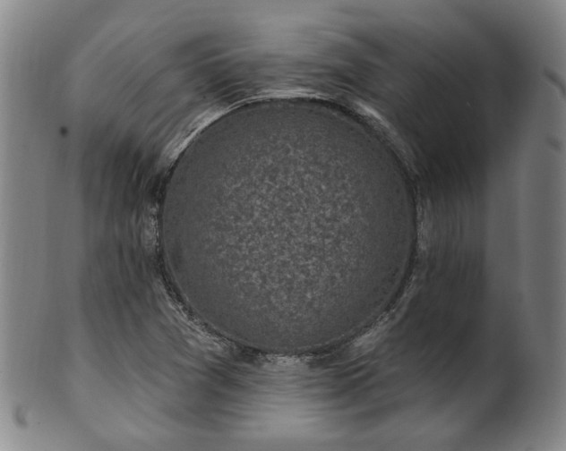 X0000102461361200808081218