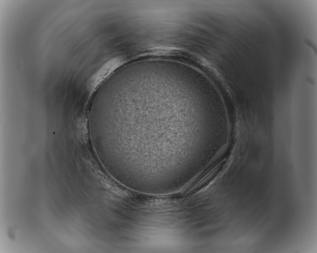 X0000102461362200808081218