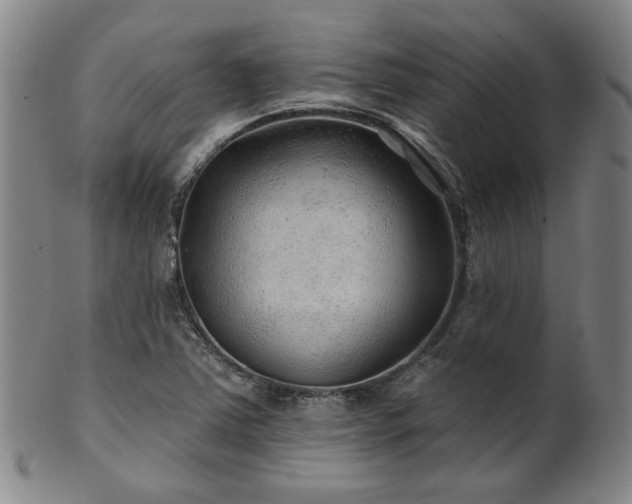 X0000102461363200808081218