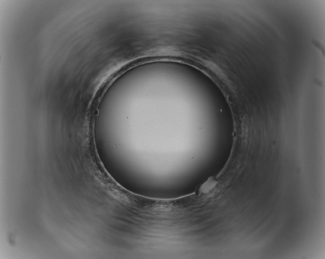 X0000102461364200808081218