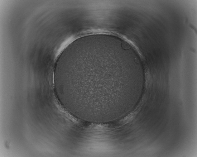 X0000102461365200808081218