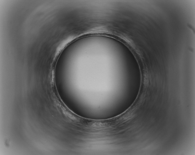 X0000102461366200808081218