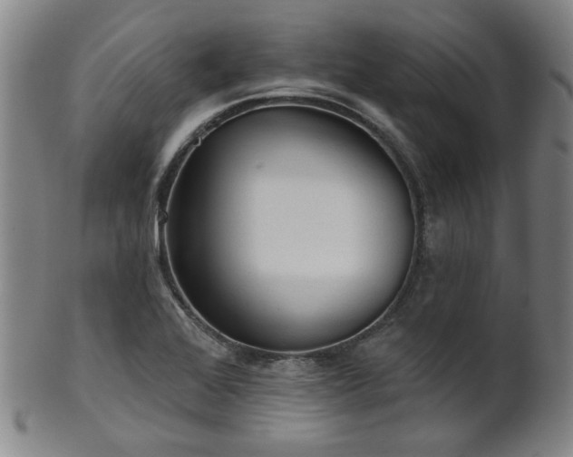 X0000102461368200808081218