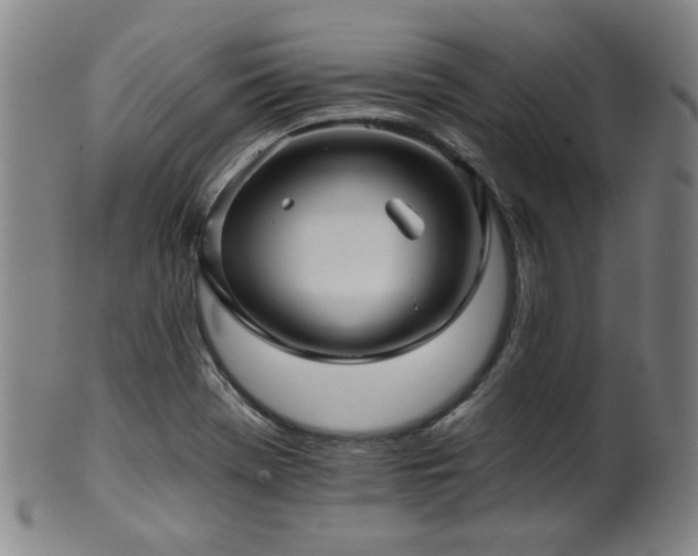 X0000102461369200808081218