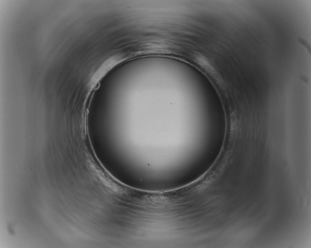 X0000102461370200808081218