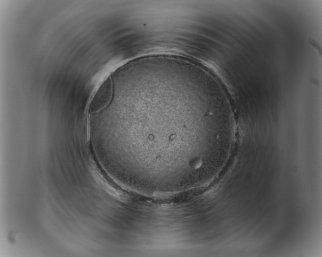 X0000102461371200808081218