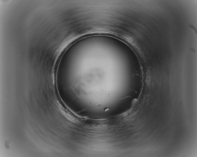 X0000102461372200808081218