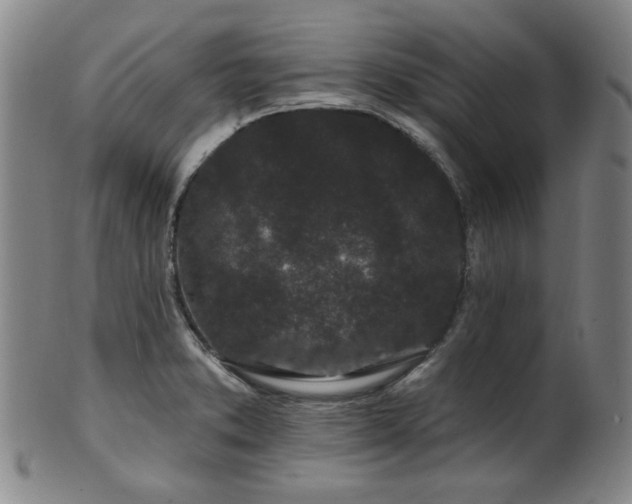 X0000102461373200808081218