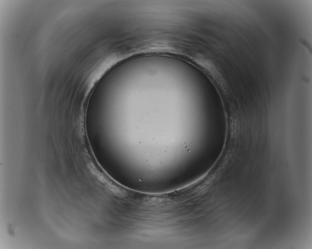 X0000102461374200808081218
