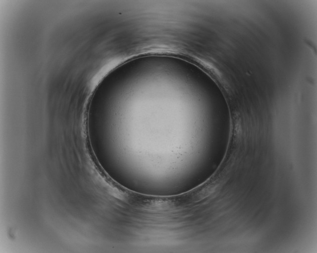 X0000102461375200808081218