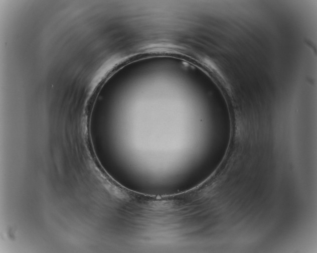 X0000102461376200808081218