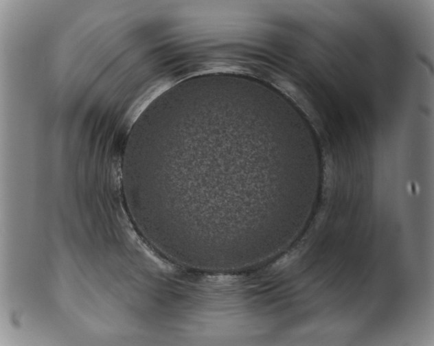 X0000102461377200808081218