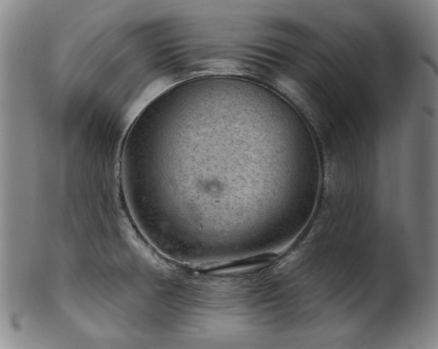 X0000102461378200808081218