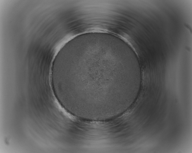 X0000102461379200808081218