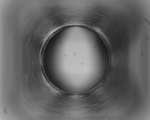 X0000102461380200808081218