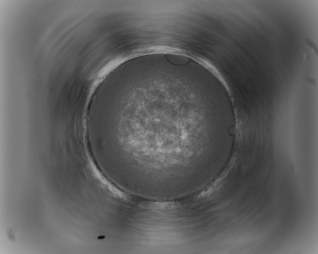 X0000102461381200808081218