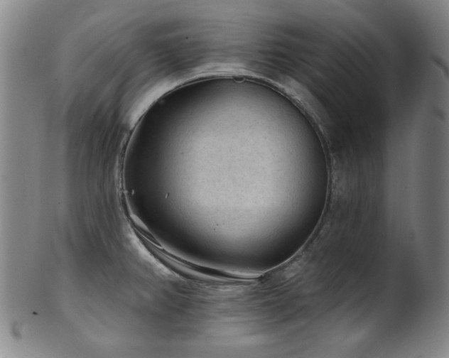 X0000102461382200808081218