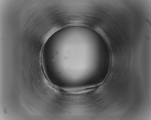 X0000102461386200808081218