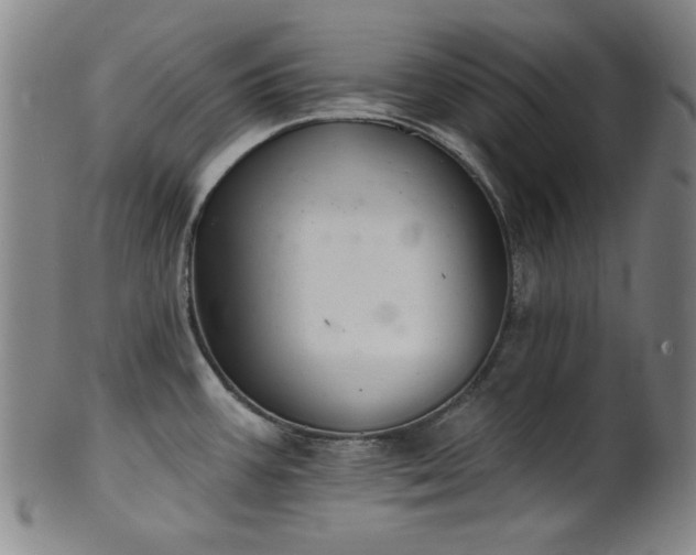 X0000102461387200808081218
