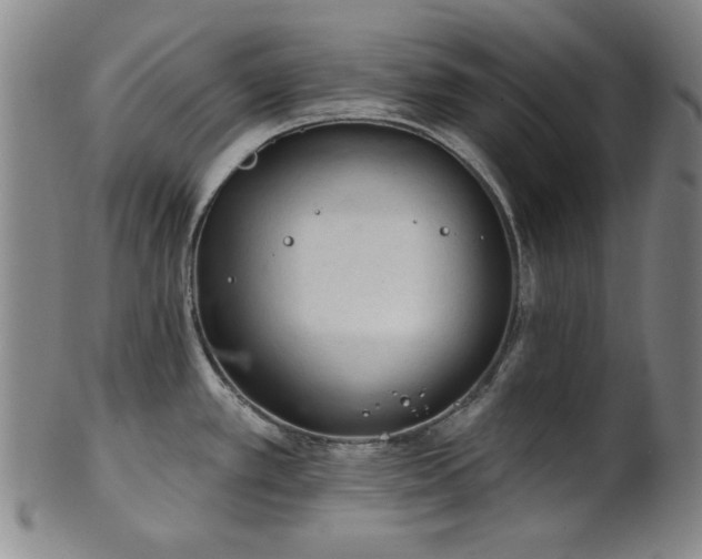 X0000102461389200808081218