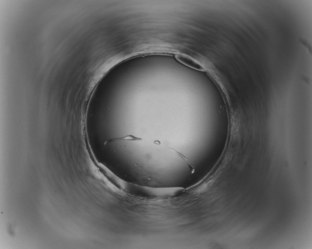 X0000102461390200808081218