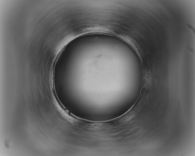 X0000102461391200808081218