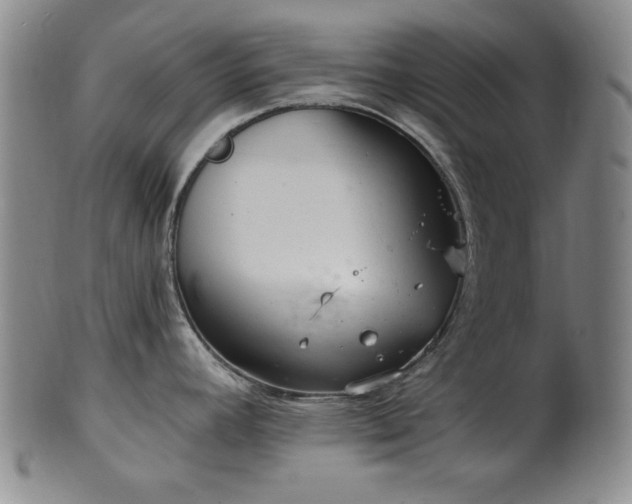 X0000102461392200808081218