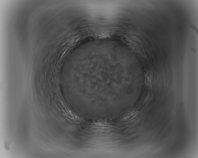 X0000102461393200808081217