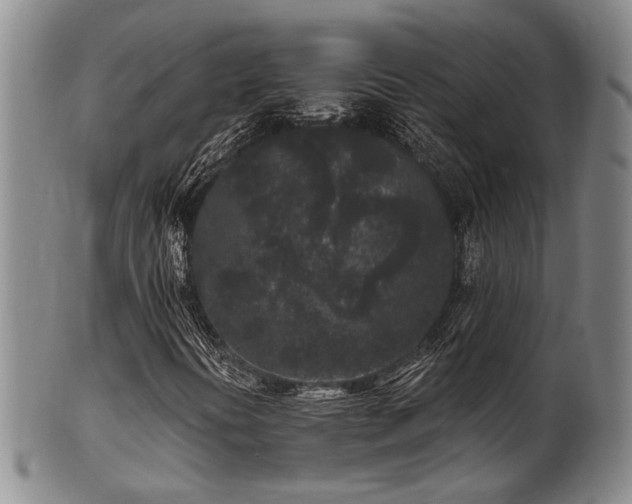 X0000102461394200808081217