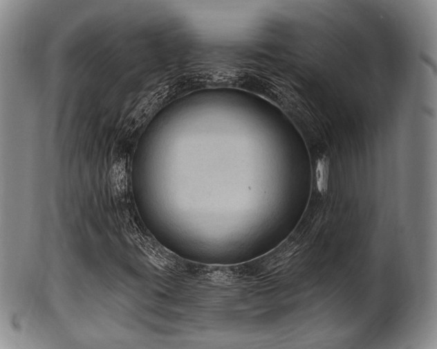 X0000102461395200808081217