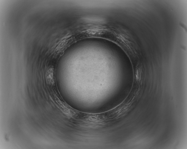 X0000102461396200808081217