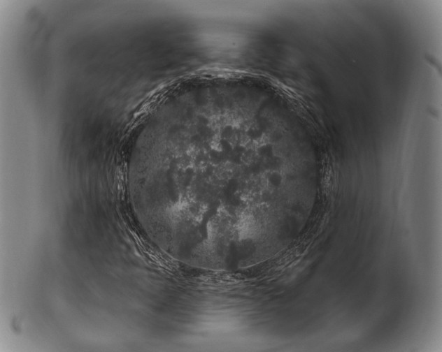 X0000102461397200808081217