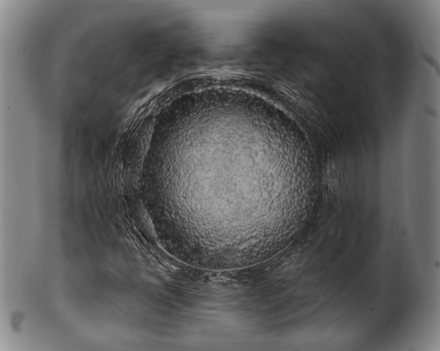 X0000102461398200808081217