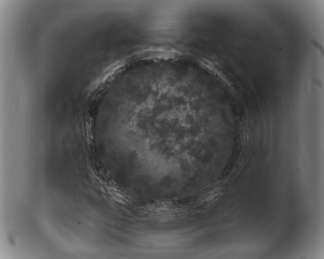 X0000102461399200808081217