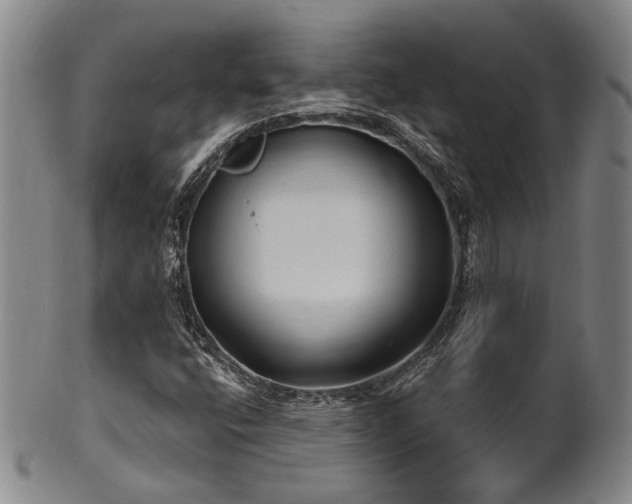 X0000102461400200808081217