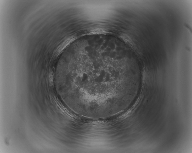 X0000102461401200808081217